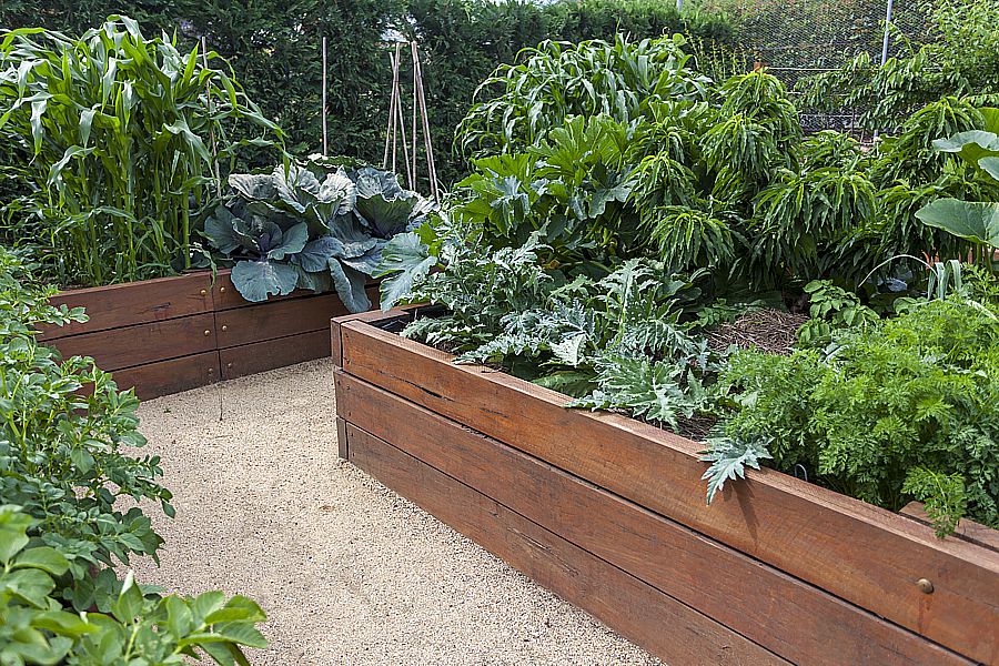 Grow your own vegetables for freshness.