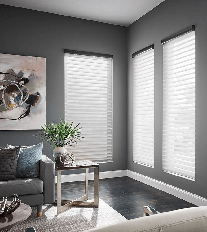 window shades from Decorating Den Interiors